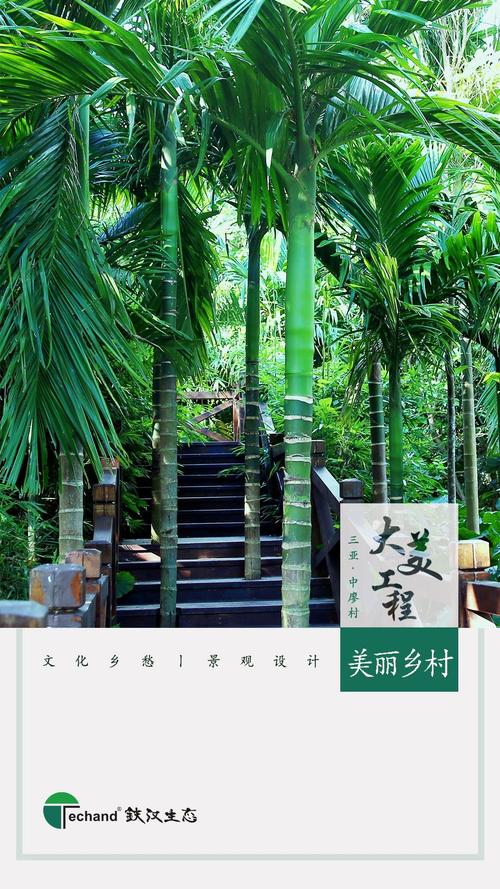 大美工程丨三亚中廖村浅谈美丽乡村的景观设计